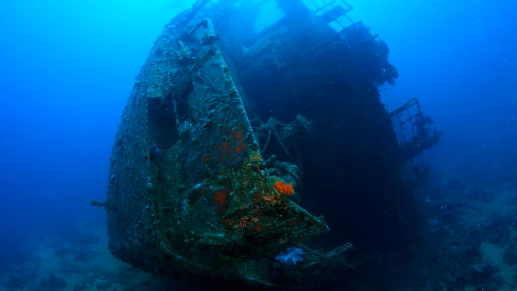 Descoberta sem precedentes: Um navio grego do século IV aC foi encontrado e tem o tesouro mais bem preservado da antiguidade