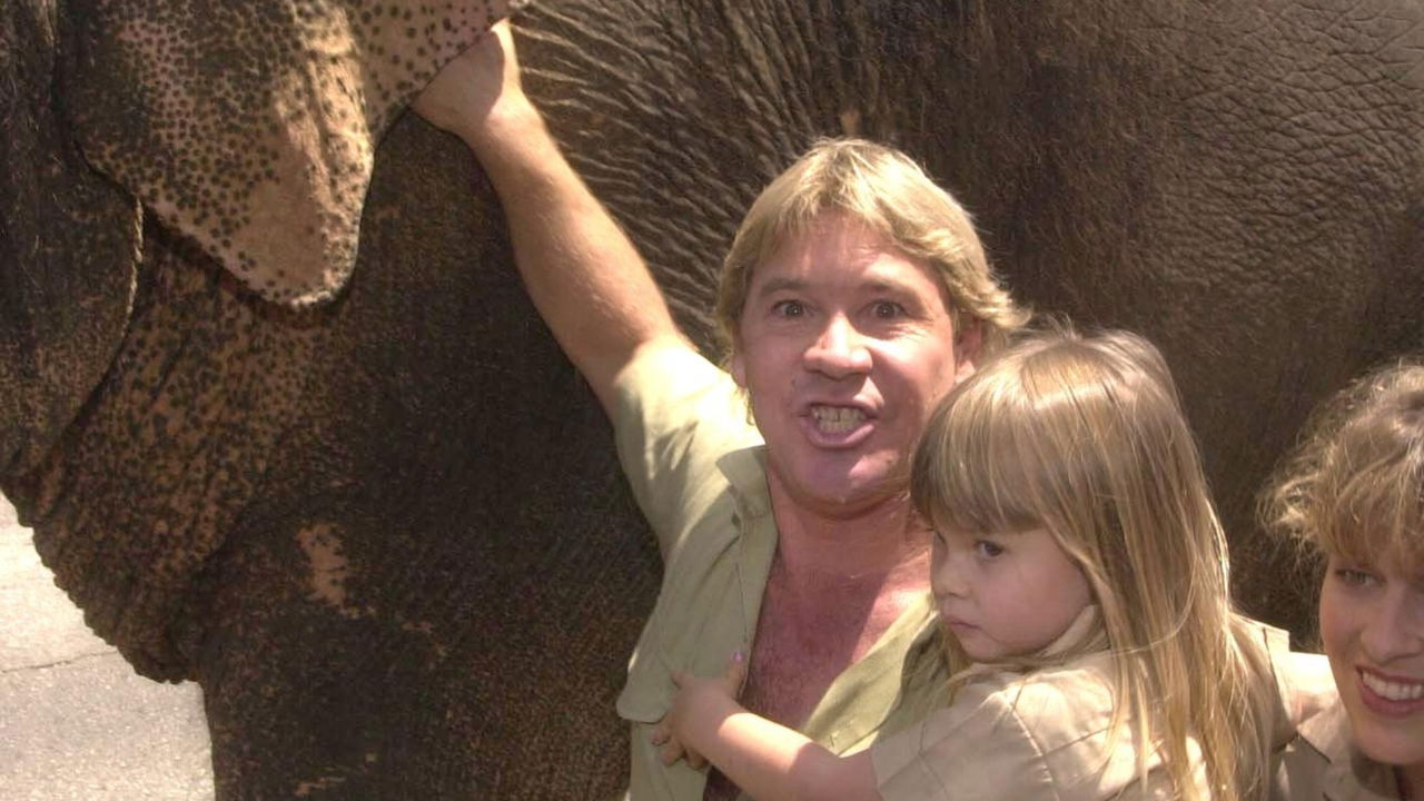 Entenda a trágica morte de Steve Irwin, “O Caçador de Crocodilos”