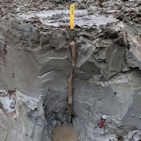 Descoberta arqueológica revela vida no pântano da Suécia