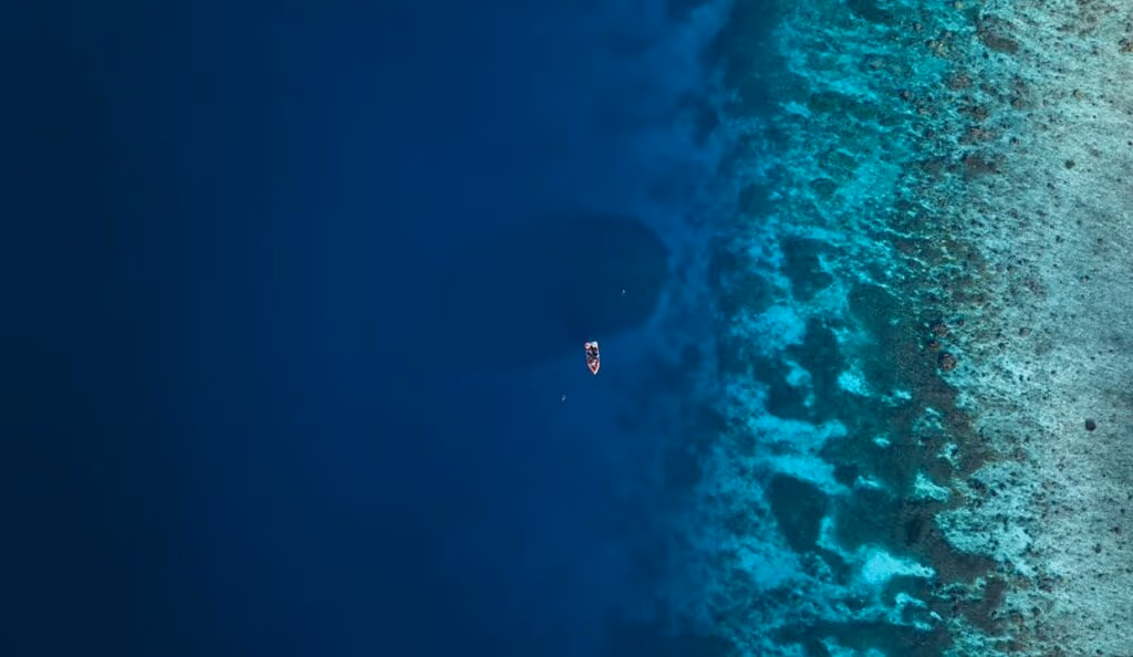 Criatura gigante do tamanho de “duas quadras de basquete” é descoberto nas profundezas do mar