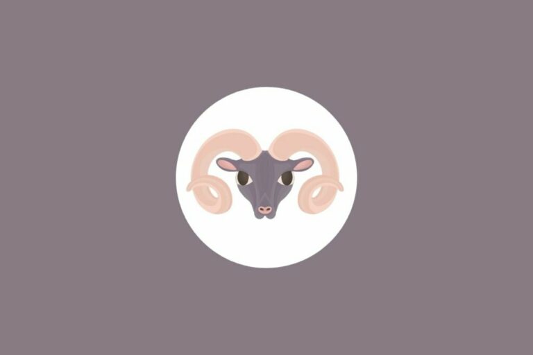 Horóscopo do dia: previsão para os 12 signos em 08/09/2025
