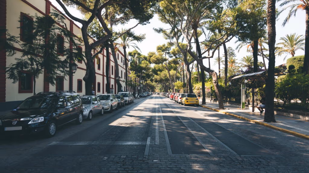 Elas são vistas em todos os lugares, mas para que servem as fileiras de árvores ao longo das estradas?