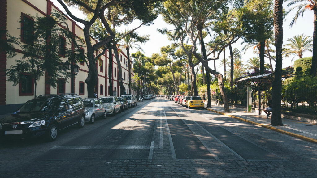 Elas são vistas em todos os lugares, mas para que servem as fileiras de árvores ao longo das estradas?