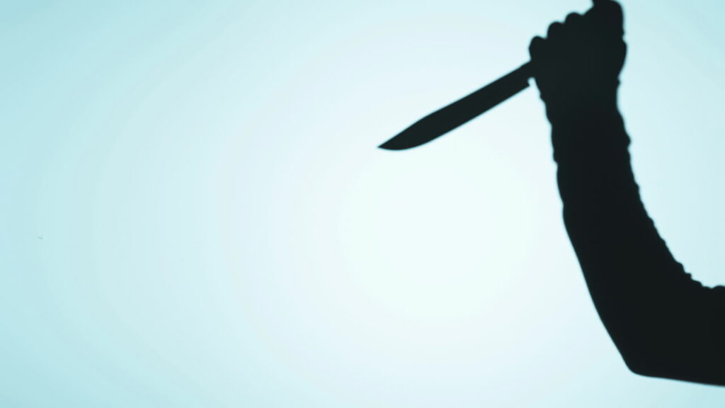 Neta confessa assassinato da avó com 50 facadas em SC