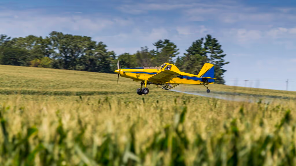 Agricultor salva 500 toneladas de batatas do lixo com uma ideia simples