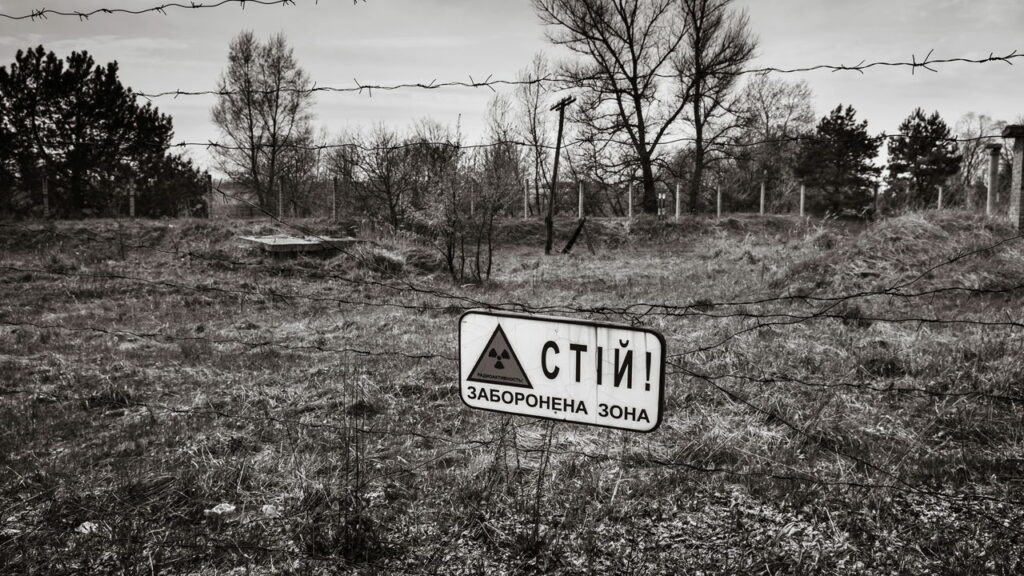 A mutação dos lobos de Chernobyl mostra resistência ao câncer