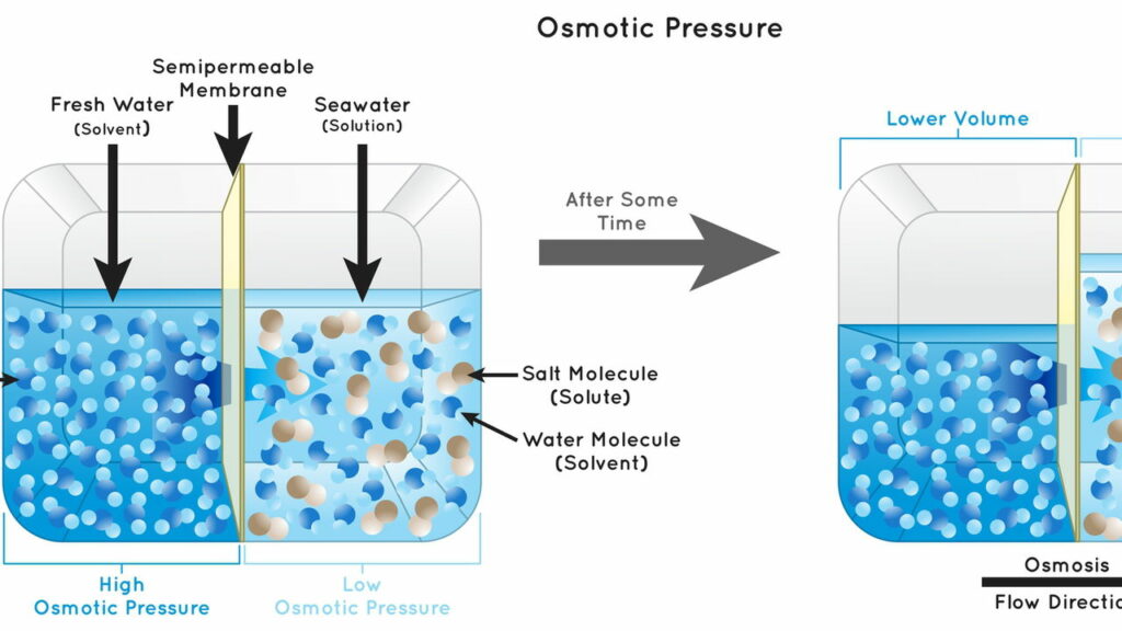 Fonte de energia renovável que funciona 24h por dia é a nova queridinha dos japoneses