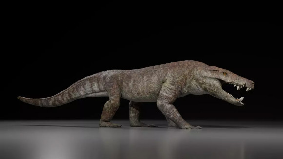 Cientistas descobrem crocodilo predador de dinossauros