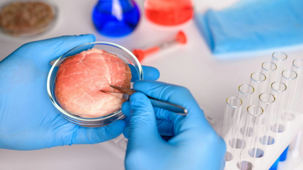 A tecnologia que pode transformar para sempre a forma de comer carne - Créditos: depositphotos.com / akhte-si