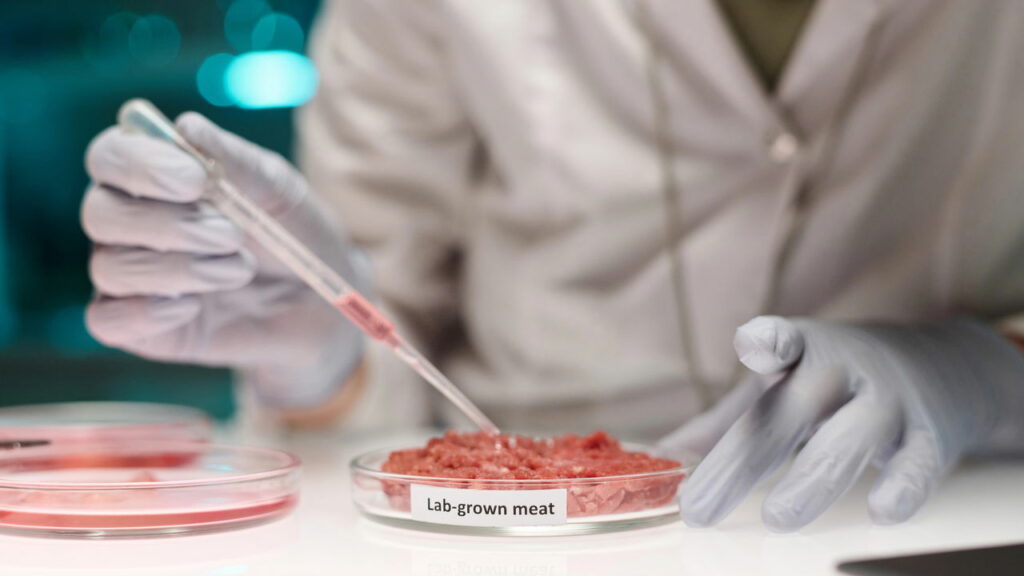 A tecnologia que pode transformar para sempre a forma de comer carne - Créditos: depositphotos.com / annas.stills.gmail.com