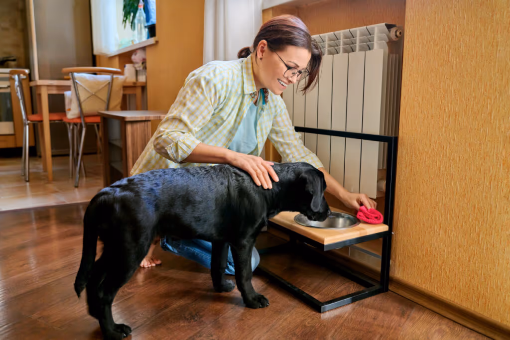 8 dicas para prevenir que o seu animal fique doente 