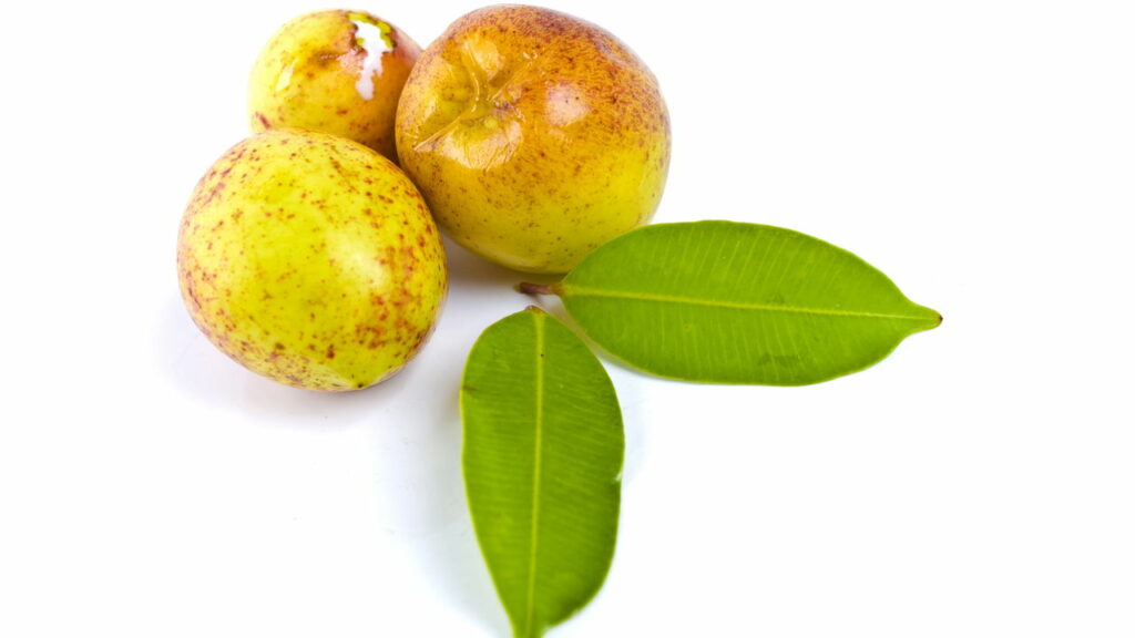A fruta esquecida do Brasil que pode valer mais que ouro no futuro