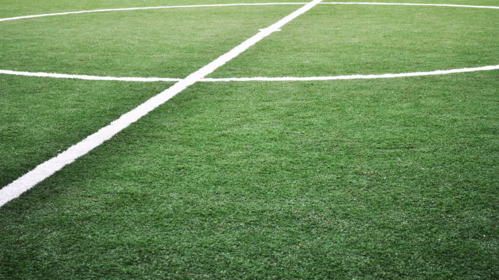 Ave protegida põe ovo na linha de meio-campo e estádio fecha por um mês