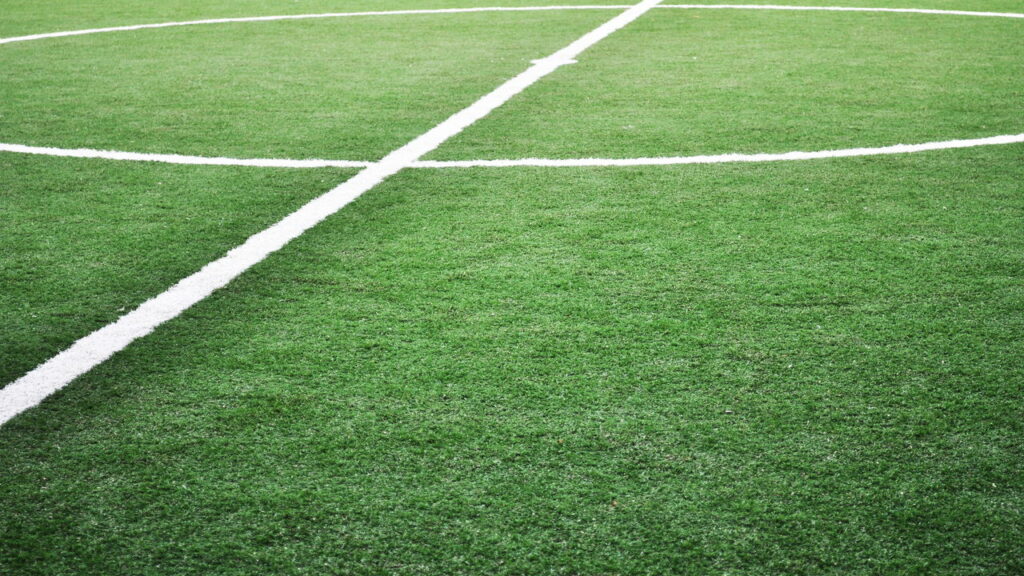 Ave protegida põe ovo na linha de meio-campo e estádio fecha por um mês
