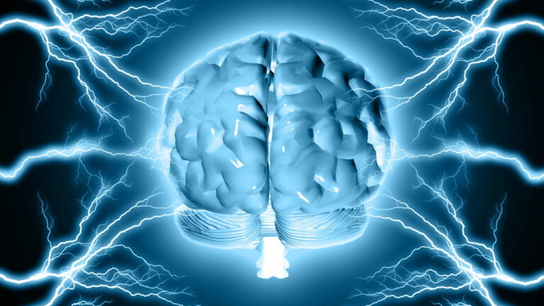 Imagem Item