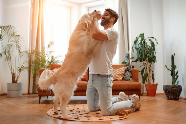 12 nomes perfeitos para cachorros carinhosos 