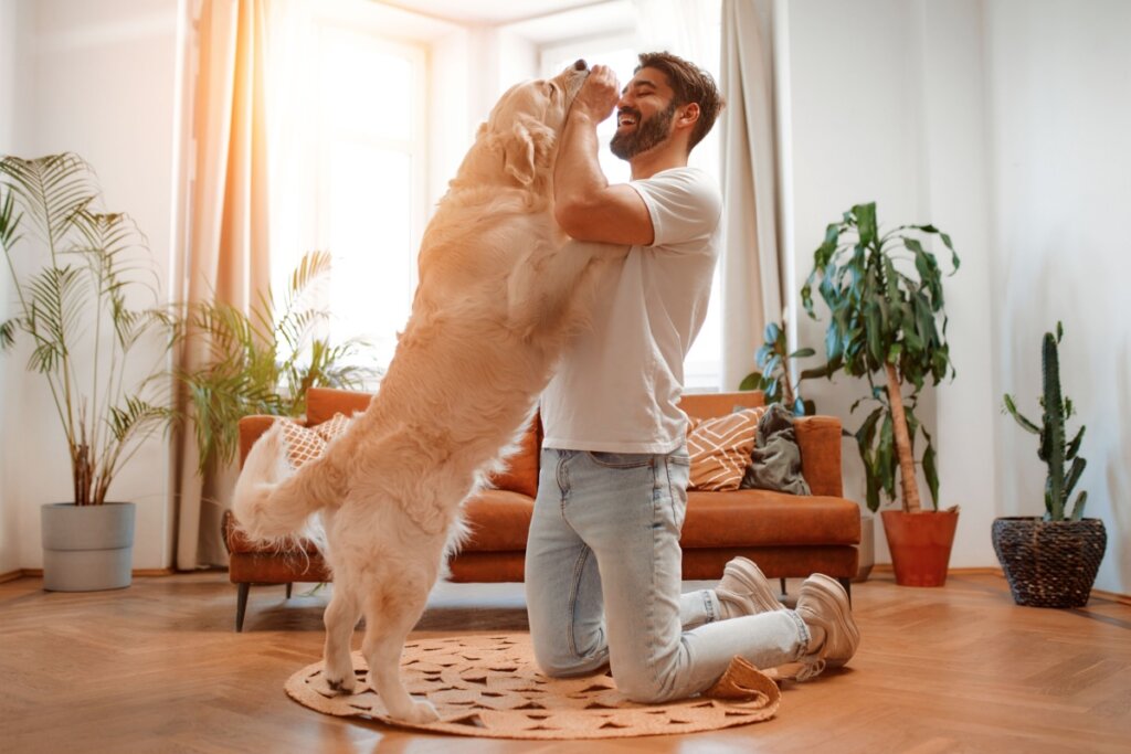 12 nomes perfeitos para cachorros carinhosos 