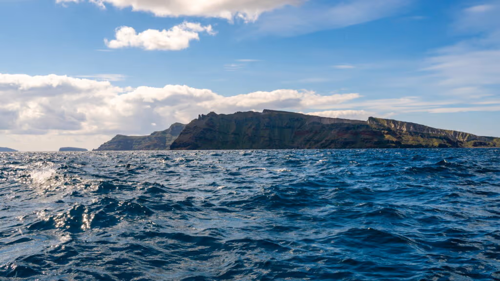 Um molusco que vive 500 anos guarda segredos sobre longevidade