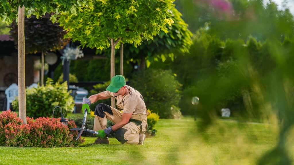 Profissões verdes para quem ama a natureza e quer cultivar o planeta