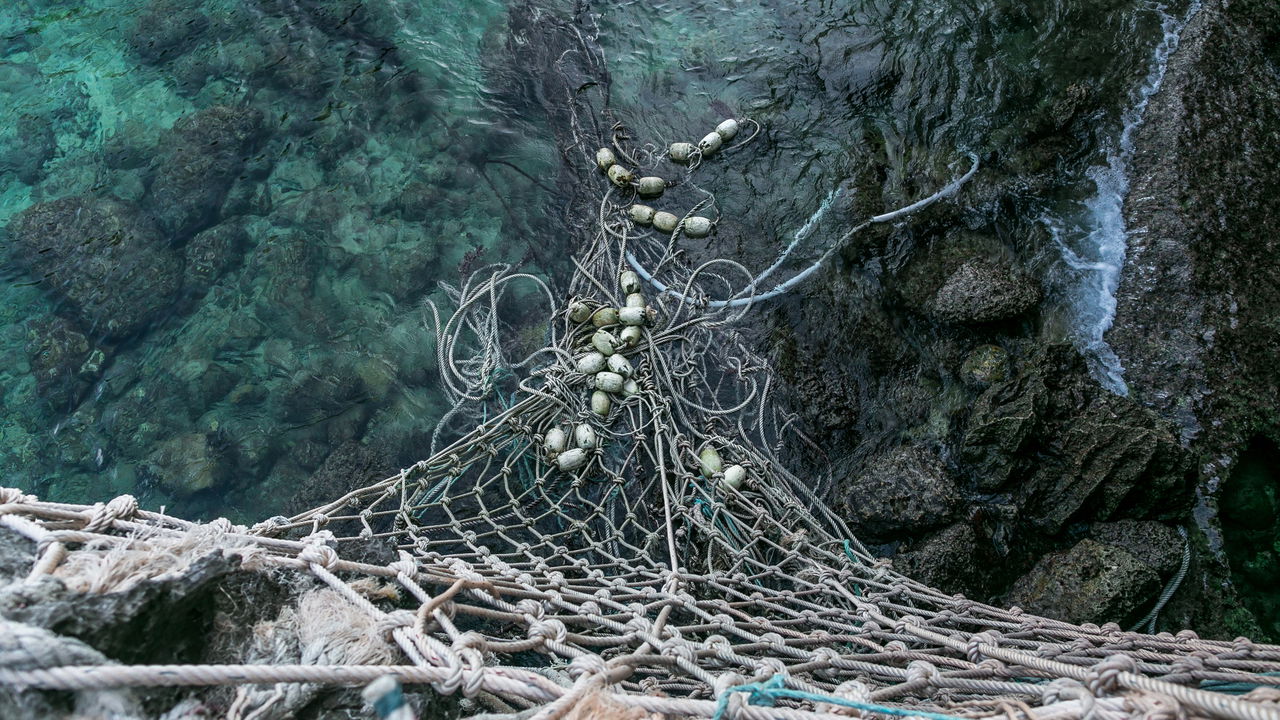 Participante usa técnica inusitada e pesca “com as partes íntimas”