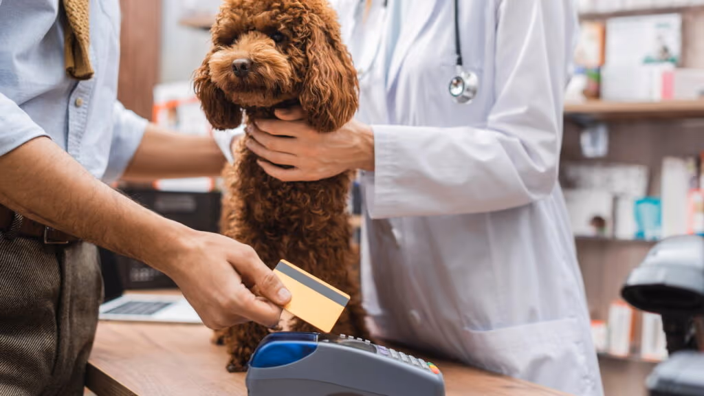 Descuido de petshop causa a morte de três cães em SP