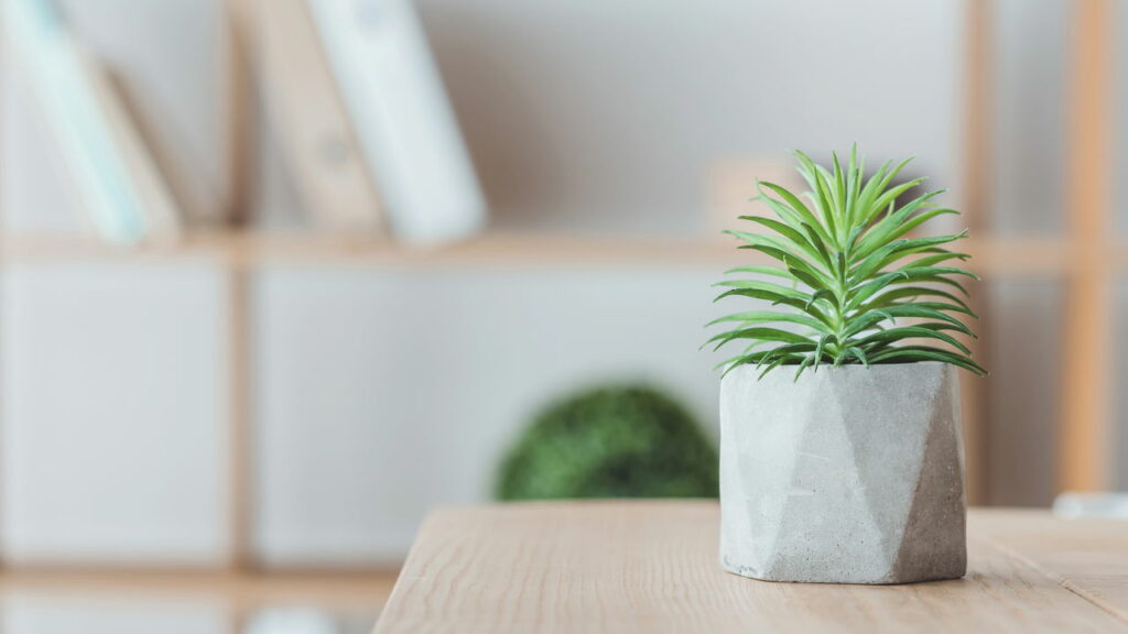 Cientistas desenvolvem plantas que brilham no escuro