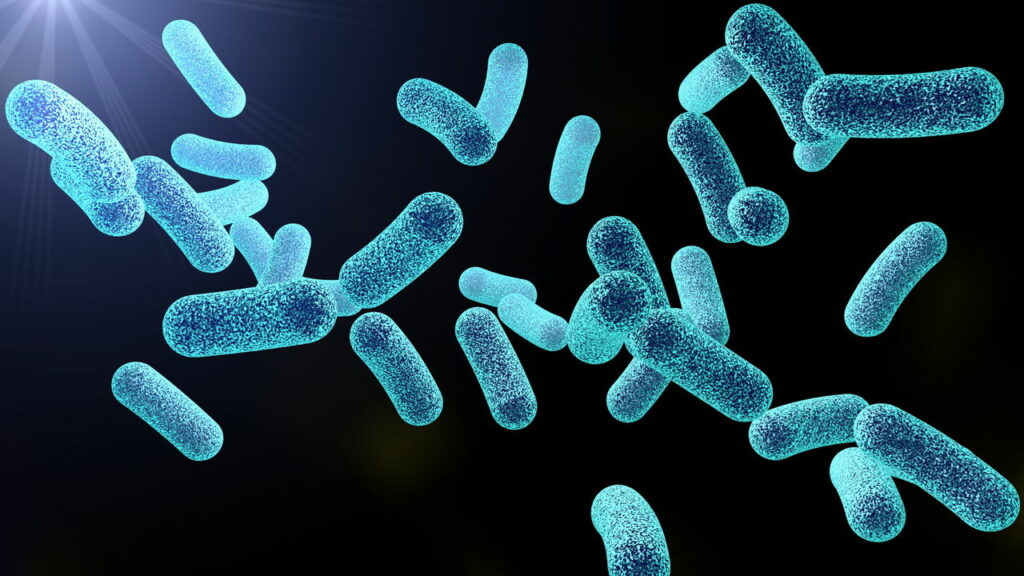 Cientistas descobrem o que causou o fim do Império Asteca