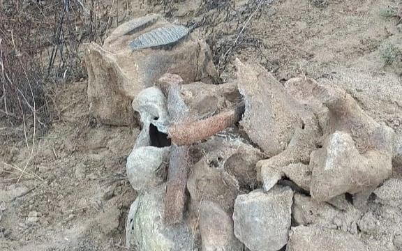 Um morador do norte encontrou fósseis de mamute durante a pescaria