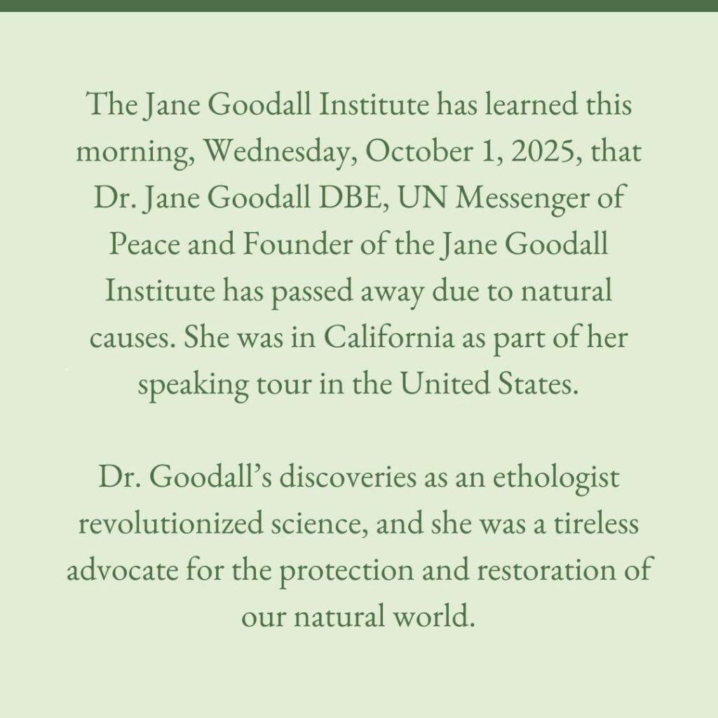 Morre Jane Goodall, a mulher que redefiniu nossa relação com o Reino Animal