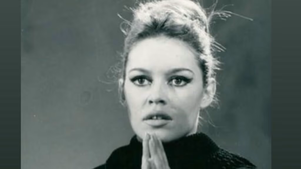 Brigitte Bardot vence cirurgia aos 91 anos