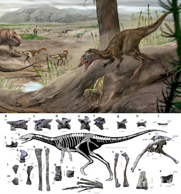 Um pequeno dinossauro que remonta a cerca de 230 milhões de anos foi descoberto
