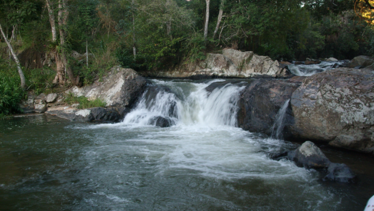 Imagem Item