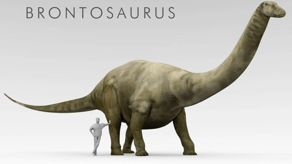 Este dinossauro foi apagado da ciência e ninguém percebeu por 112 anos