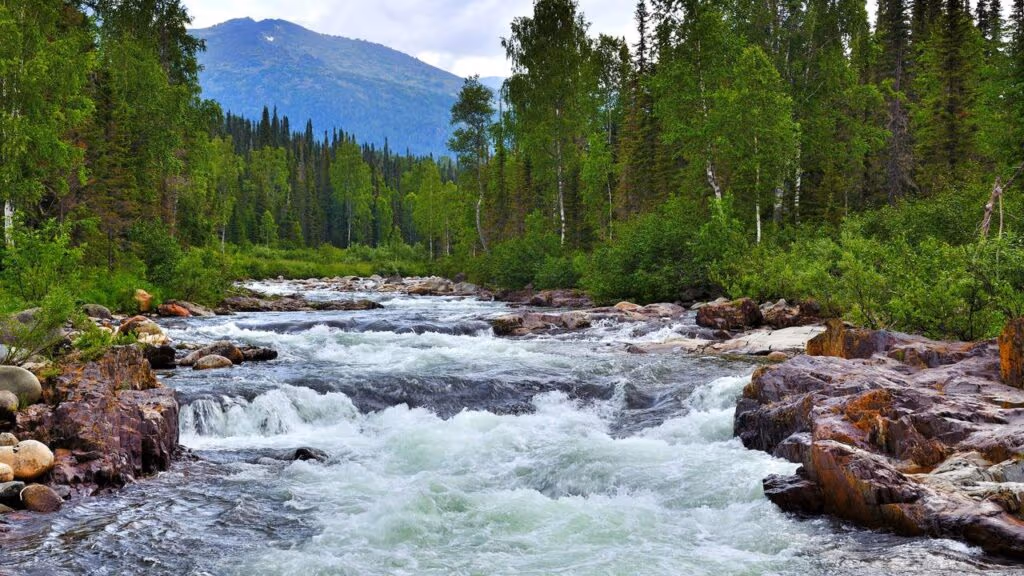 Como é viver em uma cidade de 30 habitantes, segundo um TikToker: “Consideramos um grande privilégio ter um rio por perto”