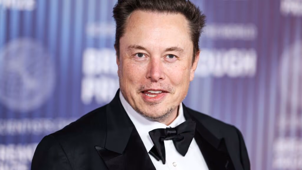 O mineral escondido em vulcão que Elon Musk estava procurando