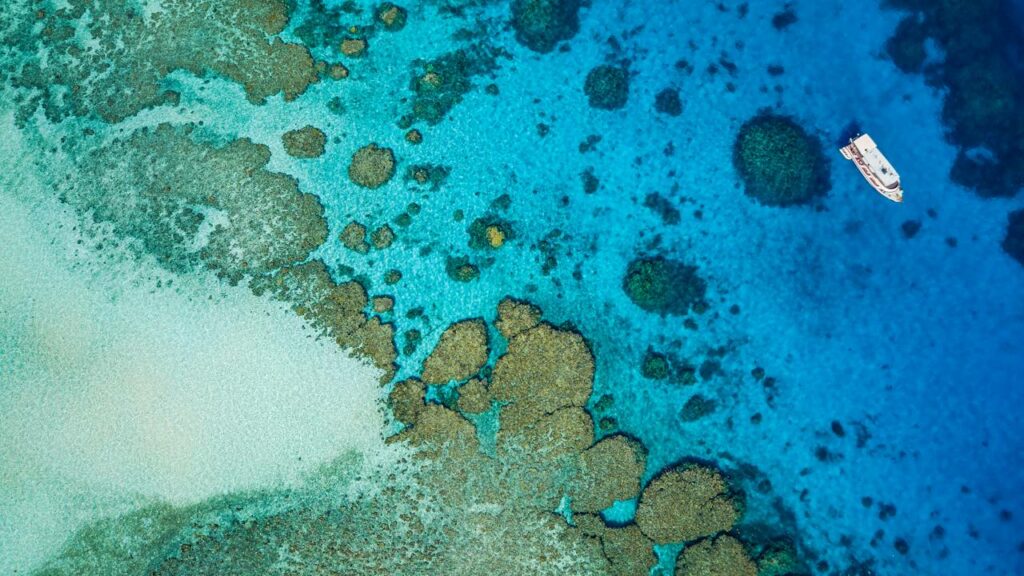 Idosa de 80 anos abandonada por navio de Cruzeiro em ilha na grande barreira de corais é encontrada morta