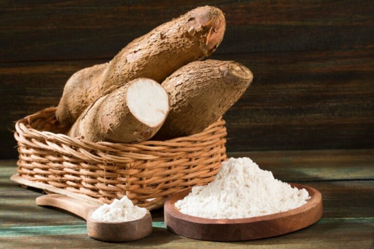 10 motivos para adicionar a mandioca à dieta