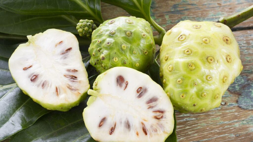 Essa fruta é desejada lá fora, mas proibida aqui e o motivo choca