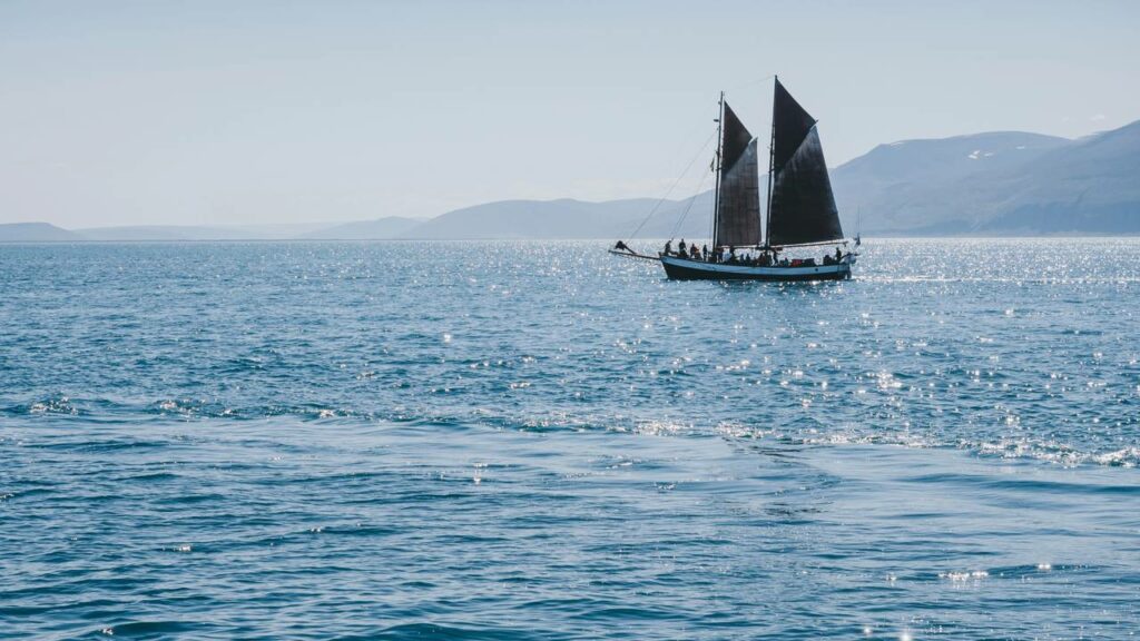 O barco em que vivemos custou menos do que a entrada de um apartamento em Madri, e hoje é nossa fonte de renda Fuga da cidade transformou o mar em casa e escritório