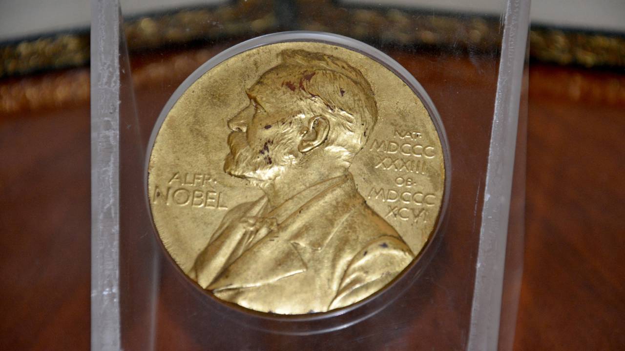 Prêmio Nobel de Medicina vai para três cientistas por descobrirem como o sistema imunológico é mantido sob controle