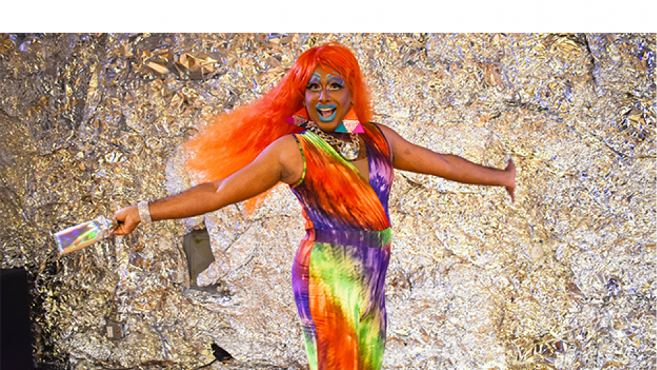 Harvard lança disciplina de “etnografia queer” com “Piranha do Vagistão” como professor