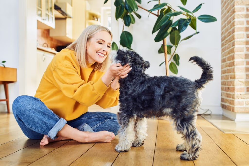 10 principais tipos de personalidades de cachorro