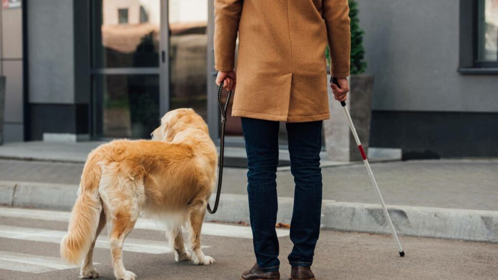Um homem que embolsou 950.000 reais em benefícios fingindo ser cego por 20 anos foi preso