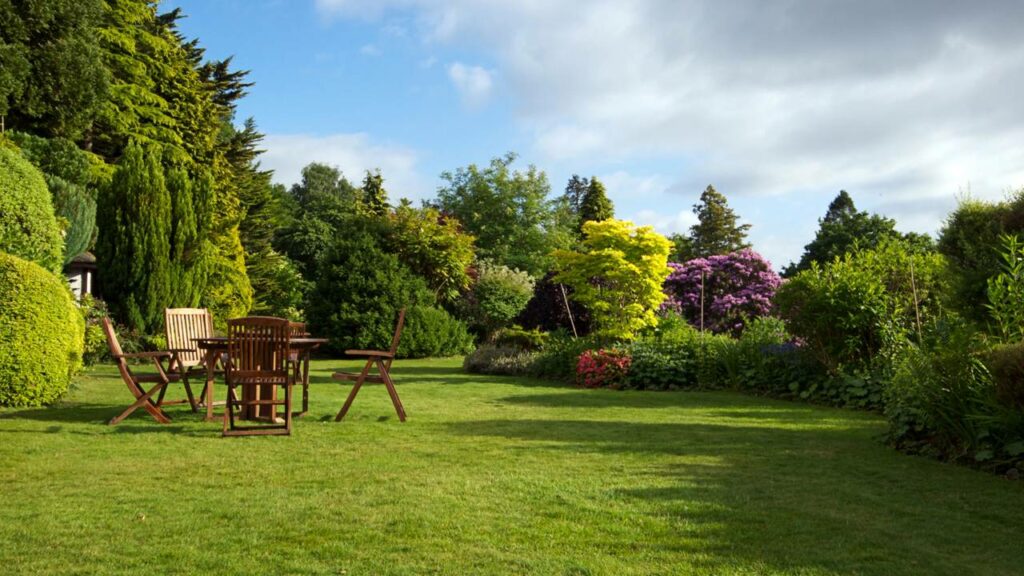 Descubra as 7 Árvores que transformam seu jardim em um Oasis