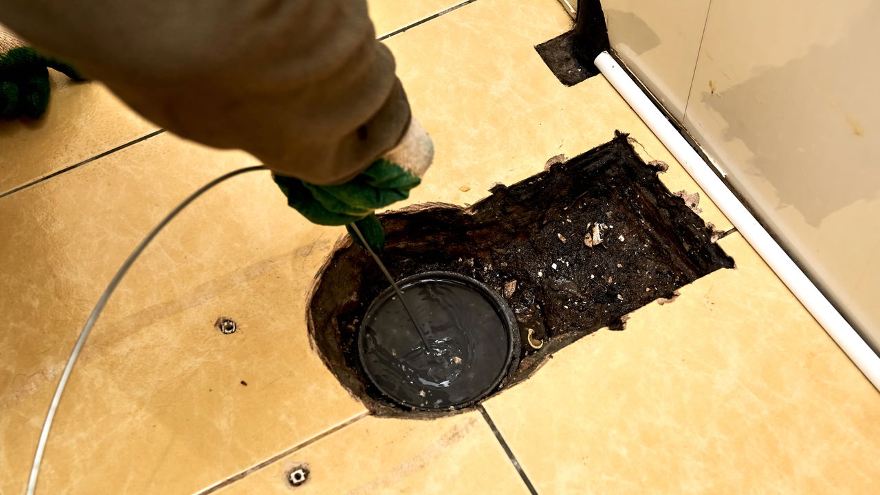 É possível encontrar uma cobra no encanamento do vaso?