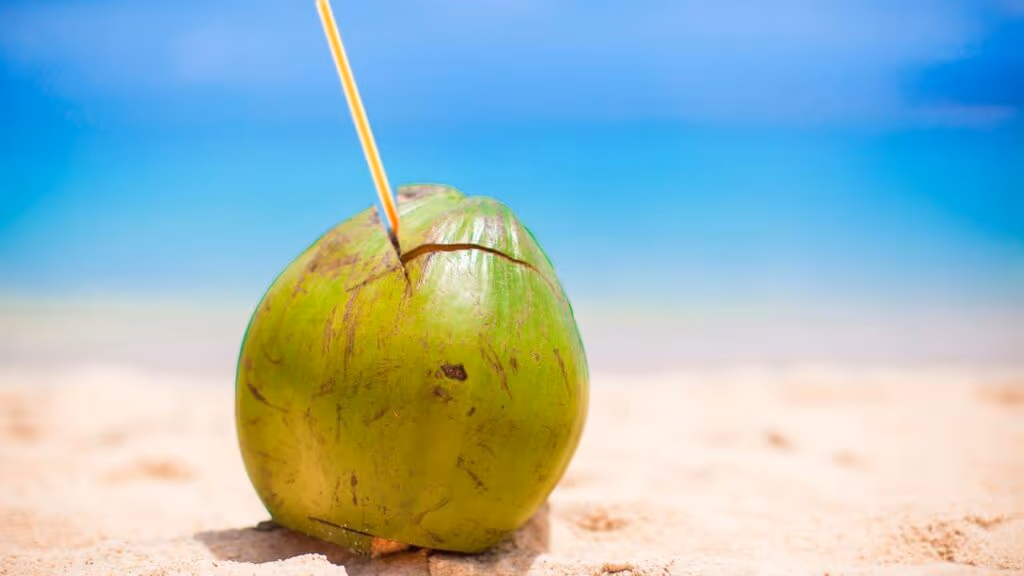 Como o coco se tornou o superalimento mais completo para hidratação e saúde