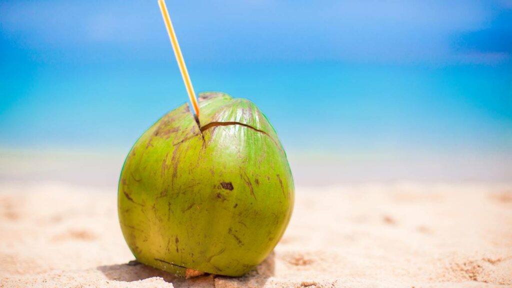 Como o coco se tornou o superalimento mais completo para hidratação e saúde
