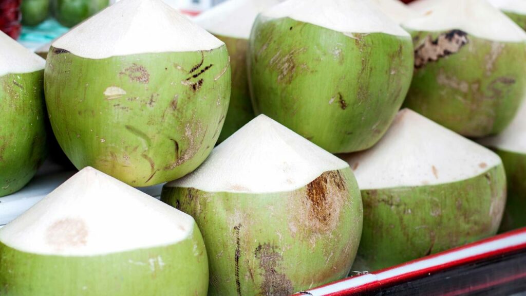 Como o coco se tornou o superalimento mais completo para hidratação e saúde