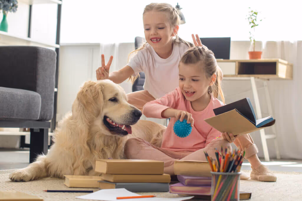 6 dicas essenciais para famílias que pensam em adotar um pet