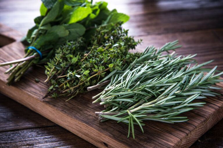 6 dicas para se alimentar bem na primavera